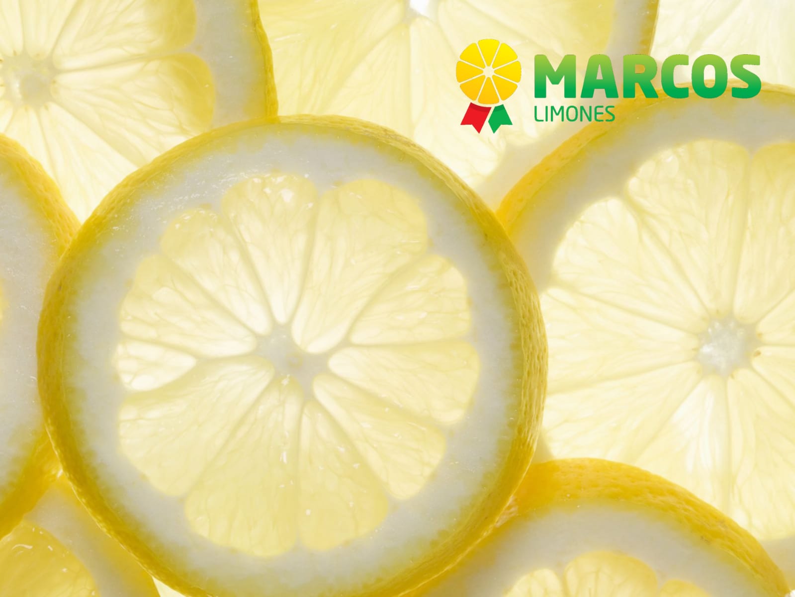 improtacion y exportacion de citricos limones